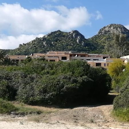 Home Beach Costa Rey Коста Рей Экстерьер фото