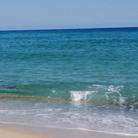 Home Beach Costa Rey Коста Рей Экстерьер фото