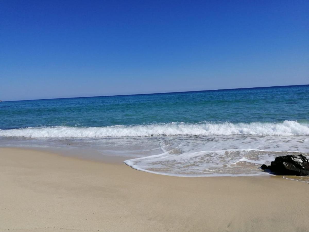 Home Beach Costa Rey Коста Рей Экстерьер фото